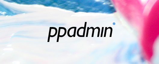 ppadmin Logo ppadmin Logo - Professional Page Administration